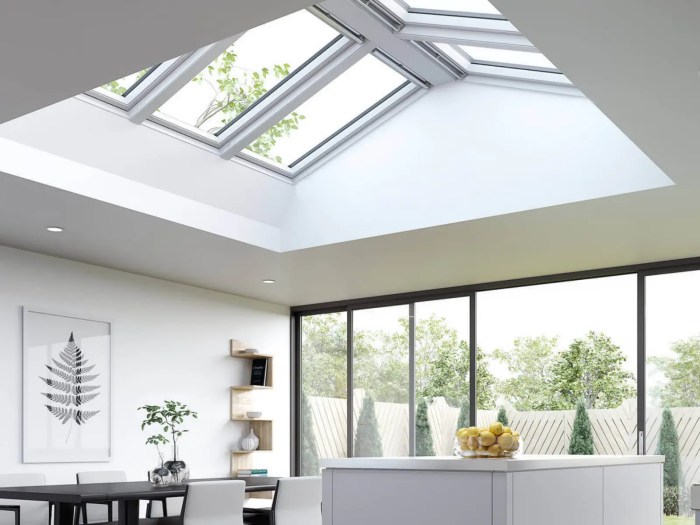 Skylight Windows: Transform Your Home with Natural Light and Sky Views