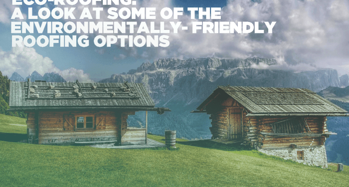 Eco-Roofing: A Look at Some of the Environmentally-Friendly Roofing Options