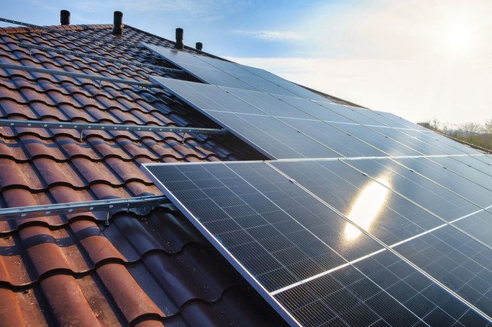 Most Efficient Solar Panels in 2025: High-Efficiency Solar Panels
